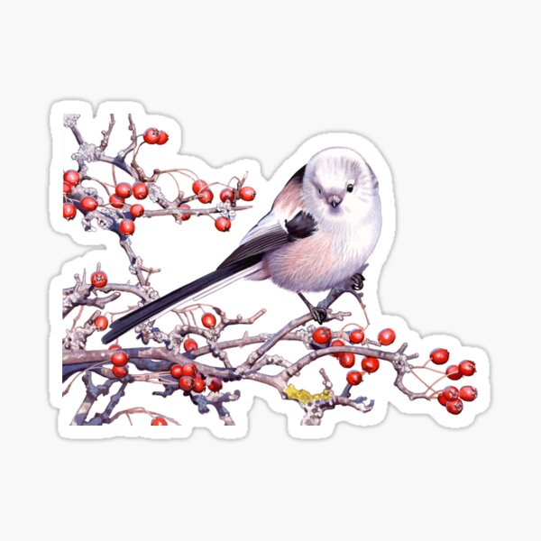Long-tailed Tit Sticker