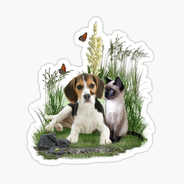Cute Beagle Puppy & Siamese Kitten & Butterflies Sticker