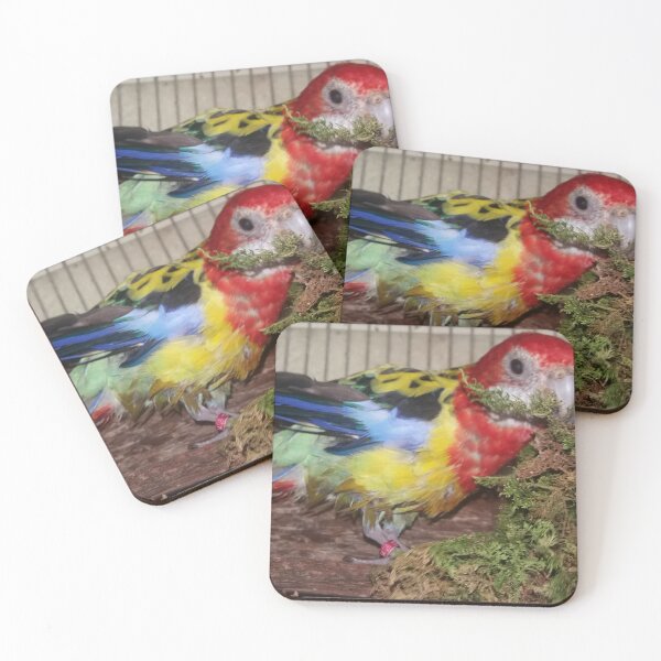 Item preview, Gorgeous rosella, bird, animal designed and sold by Sternchen2789.