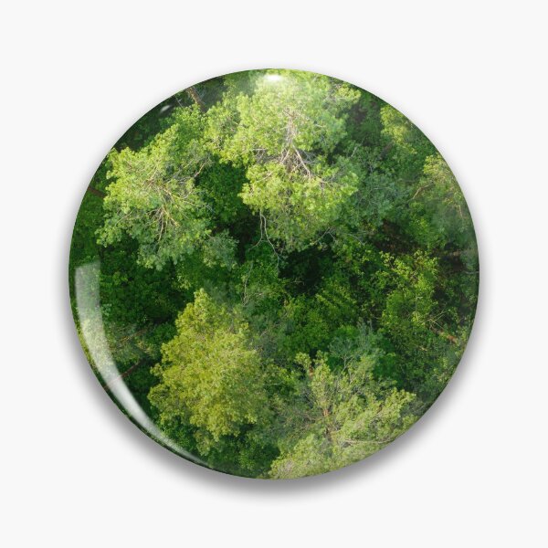 Item preview, Aerial view of pine forest designed and sold by Lukasz Szczepanski.