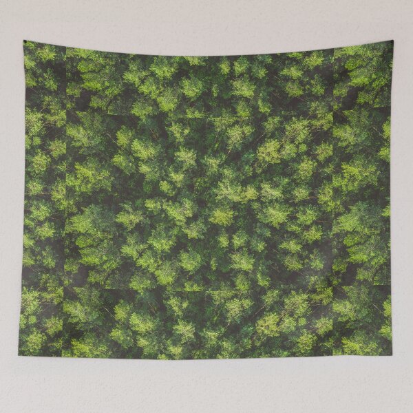 Item preview, Top down aerial view of pine forest designed and sold by Lukasz Szczepanski.