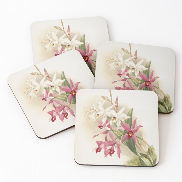 Item preview, Reichenbachia: Orchids Illustrated and Described designed and sold by EsotericBotanic.