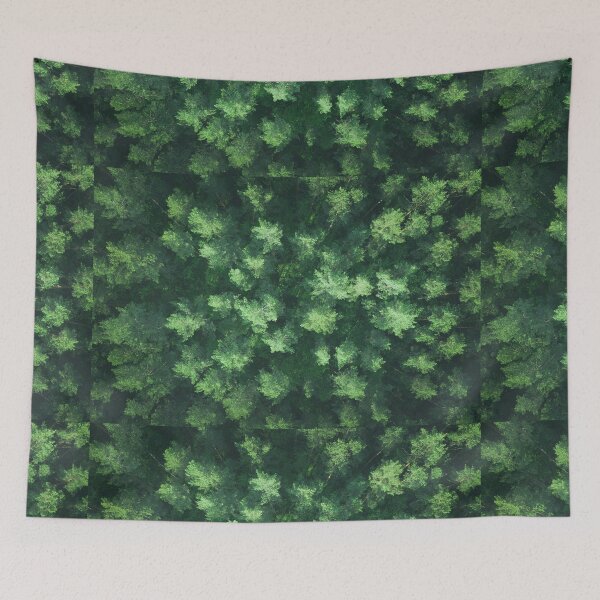Item preview, Top down aerial view of pine forest designed and sold by Lukasz Szczepanski.