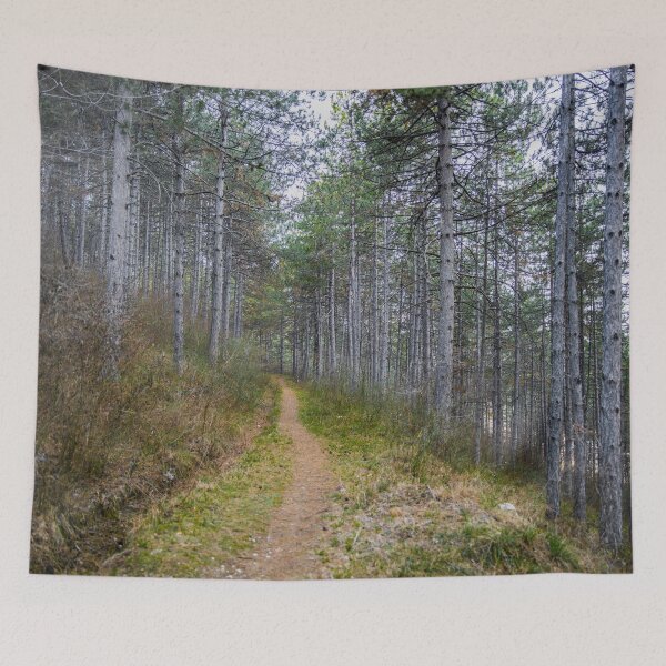 Item preview, Path to the deep forest designed and sold by viknitov.