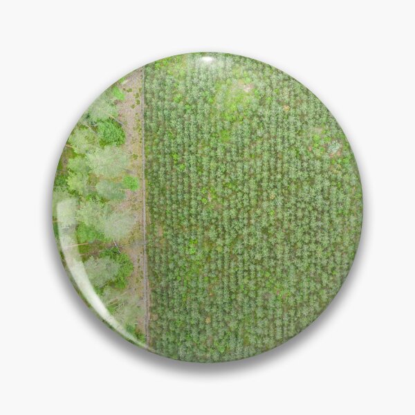 Item preview, Top down aerial view of green nursery forest bordering with mature forest designed and sold by Lukasz Szczepanski.