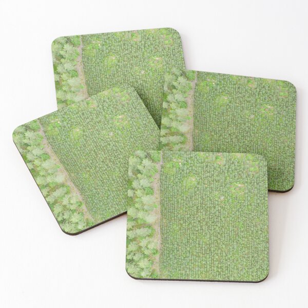Item preview, Top down aerial view of green nursery forest bordering with mature forest designed and sold by Lukasz Szczepanski.