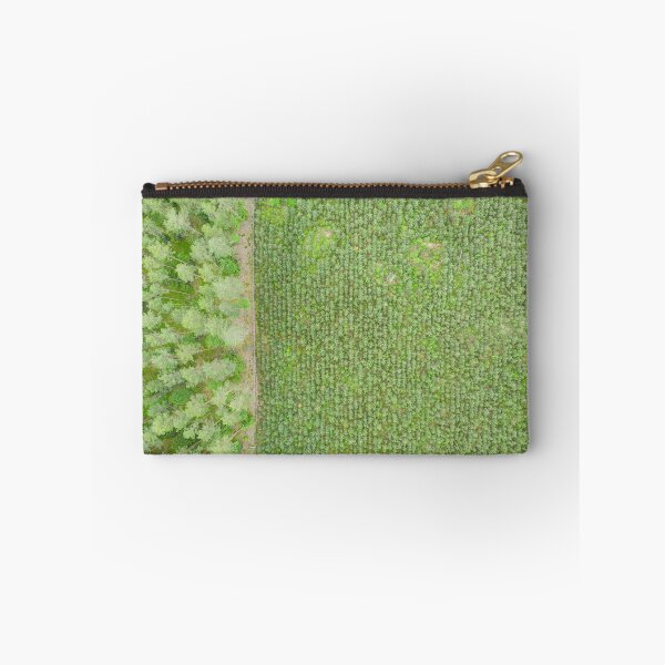 Item preview, Top down aerial view of green nursery forest bordering with mature forest designed and sold by Lukasz Szczepanski.