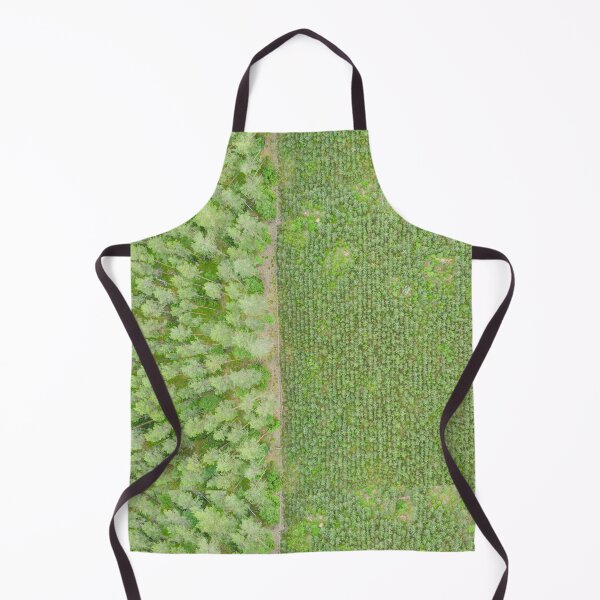 Item preview, Top down aerial view of green nursery forest bordering with mature forest designed and sold by Lukasz Szczepanski.