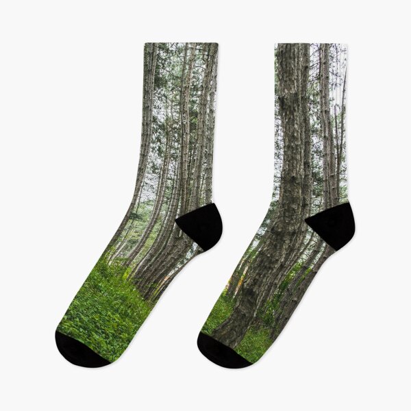 Item preview, Pine forest designed and sold by viknitov.