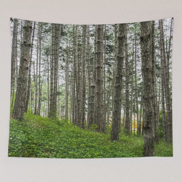 Item preview, Pine forest designed and sold by viknitov.