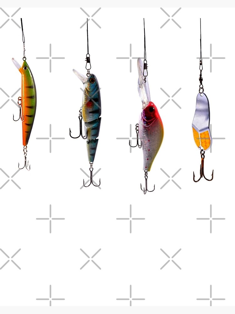 Fishing Lures  Art Board Print for Sale by Mary Riley