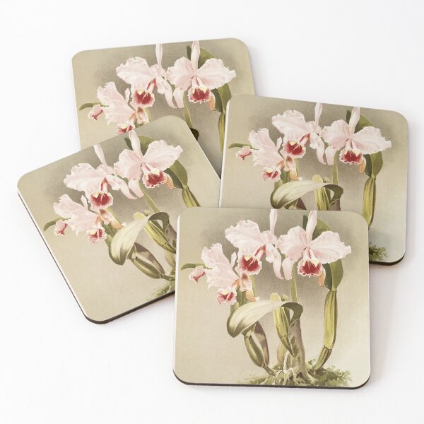 Item preview, Reichenbachia: Orchids Illustrated and Described designed and sold by EsotericBotanic.