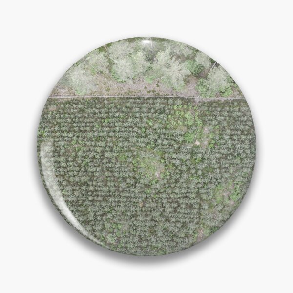 Item preview, Top down aerial view of green nursery forest bordering with mature forest designed and sold by Lukasz Szczepanski.