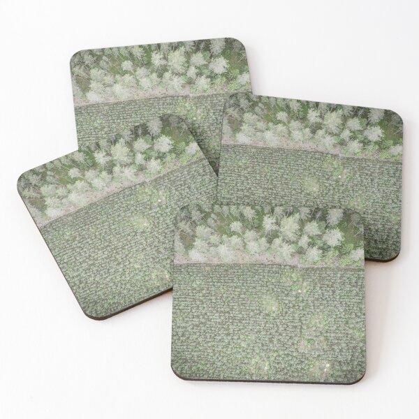 Item preview, Top down aerial view of green nursery forest bordering with mature forest designed and sold by Lukasz Szczepanski.