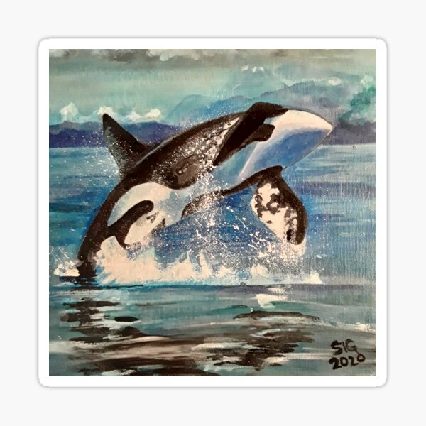 Orca Ocean Sundown Sticker — Feel-good stickers, cards, & pins