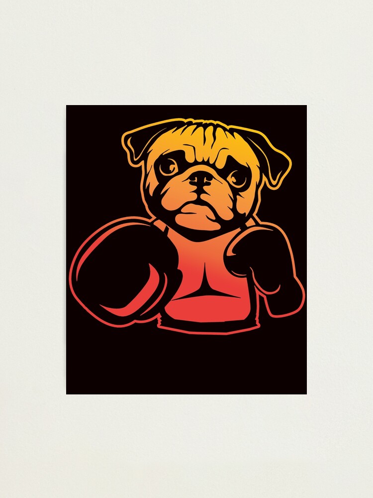 pug boxing gloves