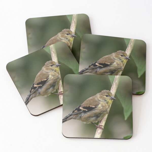 Item preview, American Goldfinch 2020-1 designed and sold by Thomasyoung.