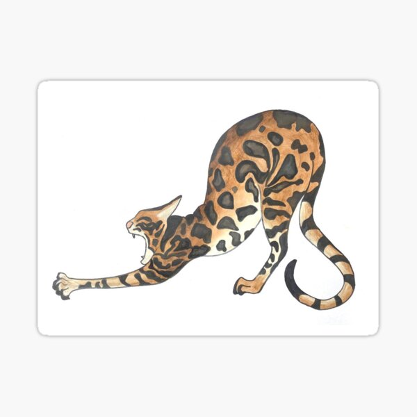 Stretchy Leopard Sticker
