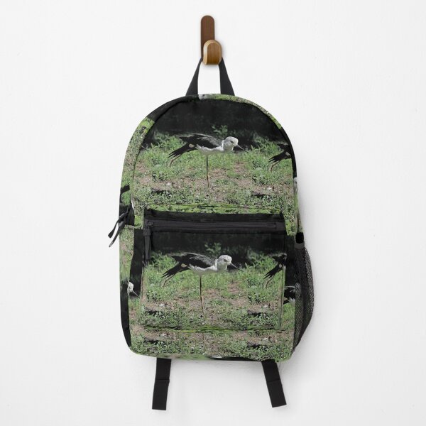 Item preview, r2447/ parc-ornithologique-de-st-hilaire-la-palud- échasse blanche- 2020 par Okaio Créations - Olavia-Olao designed and sold by o.okaïo.