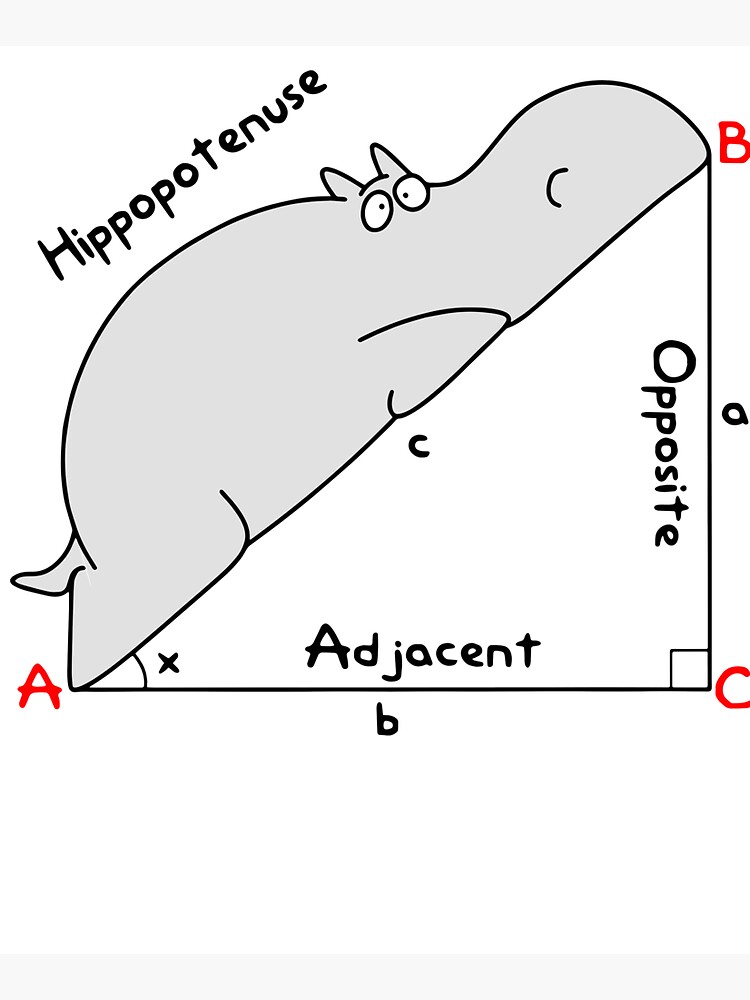 Diagram Hippopotenuse Adjacent Opposite - Math Teacher Tote Bag