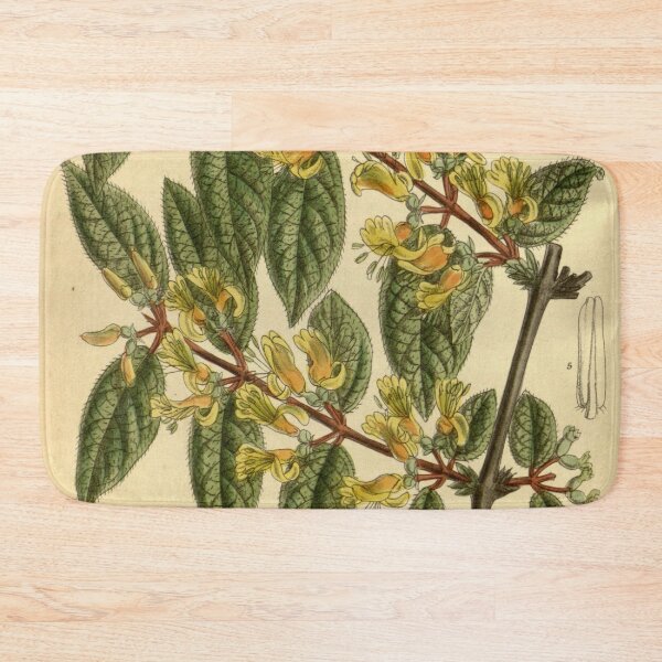 Item preview, Lonicera deflexicalyx 140 8536 designed and sold by EsotericBotanic.