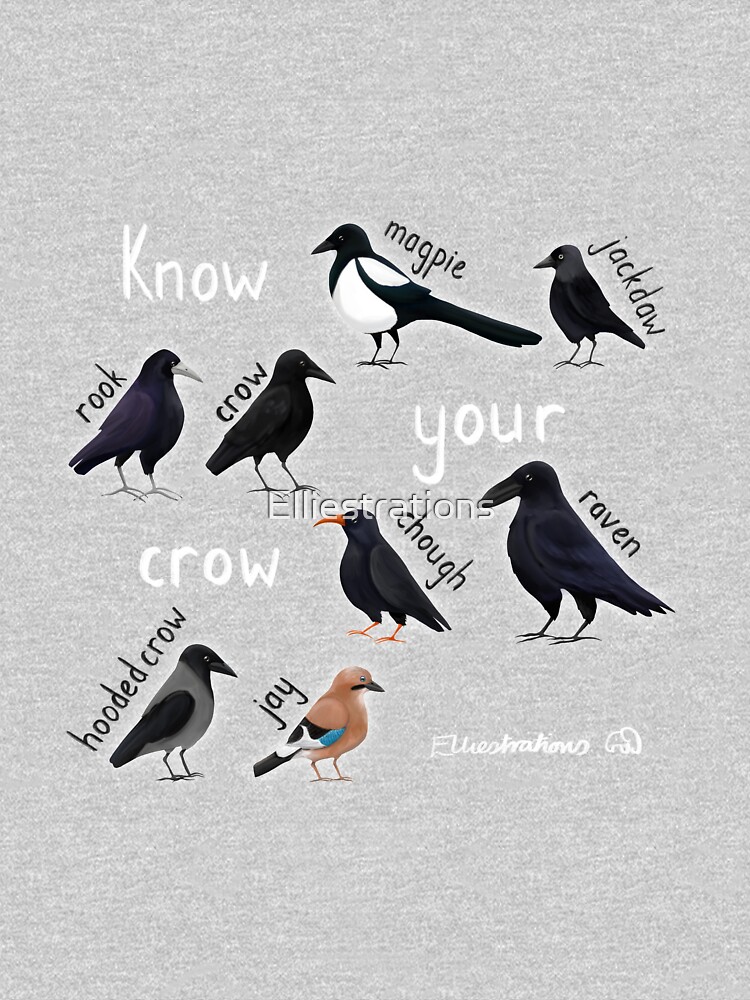 A stylized graphic of a crow in a heather-gray background, evoking the clever, observational humor found in many PG-13 comedies that rely on wit over shock value.