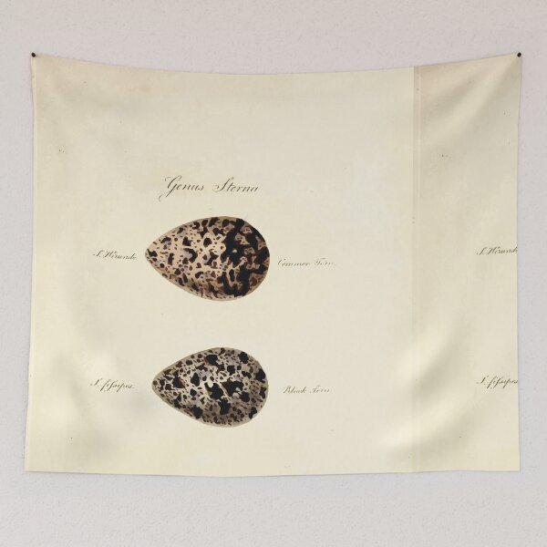 Item preview, British ornithology  being the history with a coloured representation of every known species of British birds George Graves 1821 159 designed and sold by WetdryvacRB01.