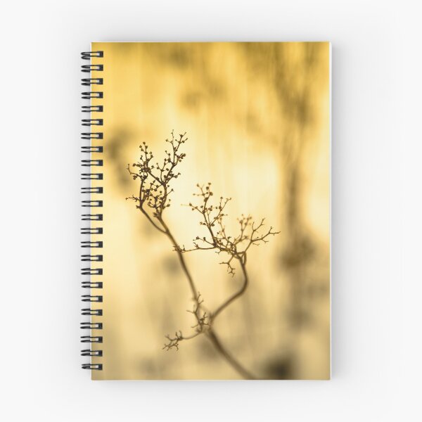 Item preview, Shadow of plant, condolence card designed and sold by Stéphane  Thirion.