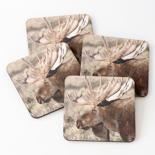 Item preview, Moose designed and sold by Stacie Forest.