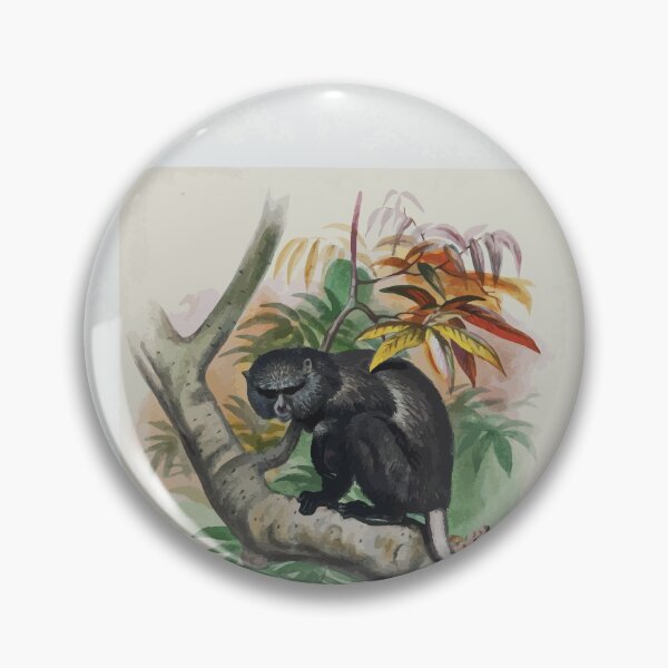 Item preview, Zoological sketches by Joseph Wolf 1861 to 1867 002 The Pluto Monkey designed and sold by WetdryvacRB01.