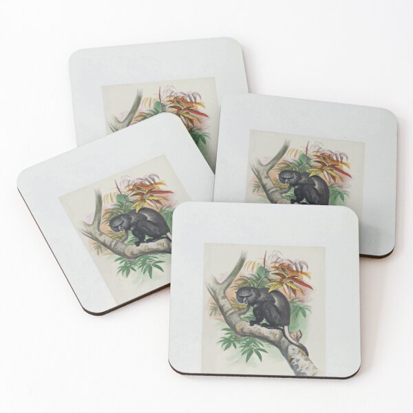 Item preview, Zoological sketches by Joseph Wolf 1861 to 1867 002 The Pluto Monkey designed and sold by WetdryvacRB01.