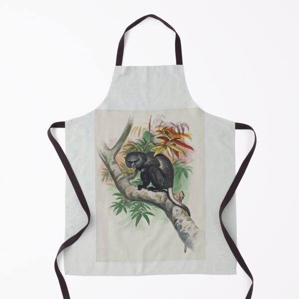 Item preview, Zoological sketches by Joseph Wolf 1861 to 1867 002 The Pluto Monkey designed and sold by WetdryvacRB01.
