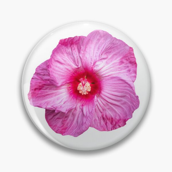 Item preview, Isolated Hibiscus 2020-3 designed and sold by Thomasyoung.