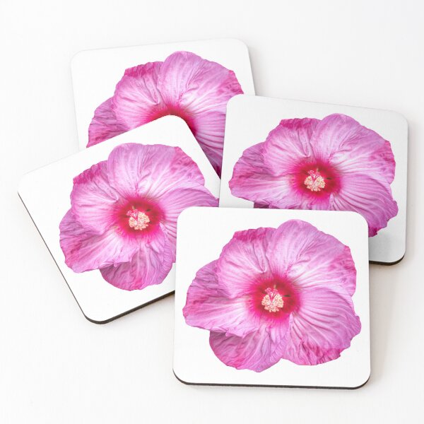 Item preview, Isolated Hibiscus 2020-3 designed and sold by Thomasyoung.