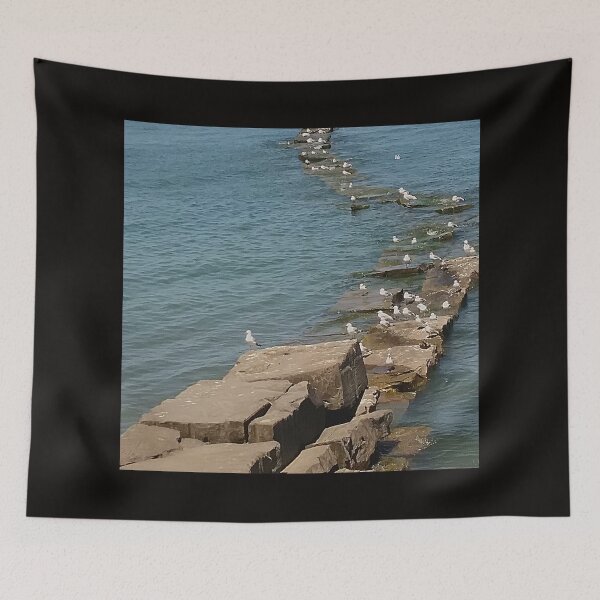 Item preview, Brids Standing On The Jetty: Lake Erie  Photographic Print designed and sold by marvacousins246.