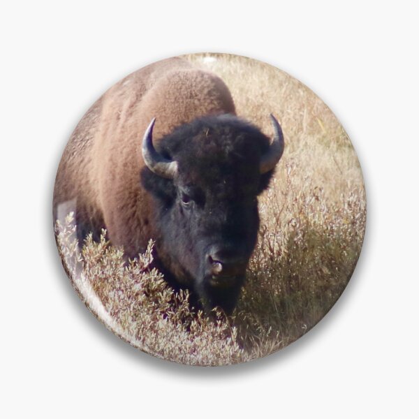 Item preview, Bison designed and sold by Stacie Forest.