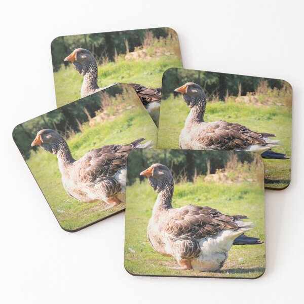 Item preview, Toulouse Goose designed and sold by JEZ22.