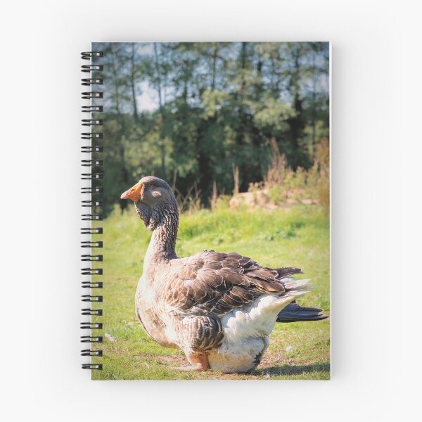Item preview, Toulouse Goose designed and sold by JEZ22.