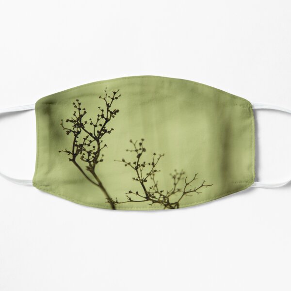 Shadow of plant, condolence card green background Flat Mask