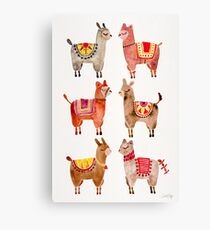 Alpacas Canvas Print