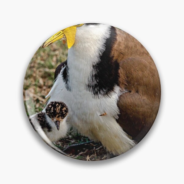 Item preview, Mother and Baby Bird, Plovers designed and sold by John Van Den Broeke.