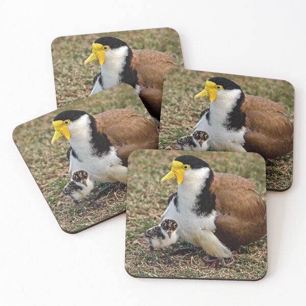 Item preview, Mother and Baby Bird, Plovers designed and sold by John Van Den Broeke.