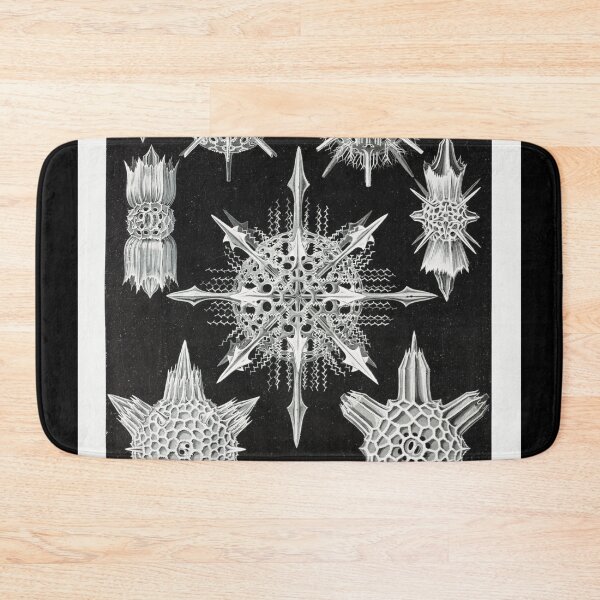 Item preview, Acanthophracta Science Biology Public Domain designed and sold by AlteredAtelier.