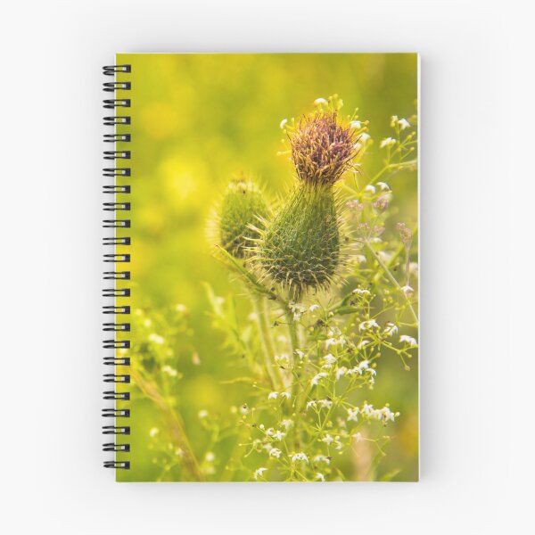 Item preview, Green thistle flower, condolence card designed and sold by Stéphane  Thirion.