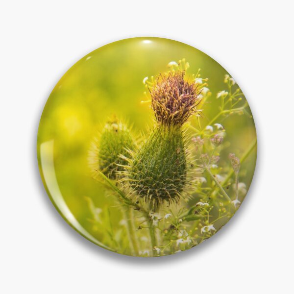Item preview, Green thistle flower, condolence card designed and sold by Stéphane  Thirion.