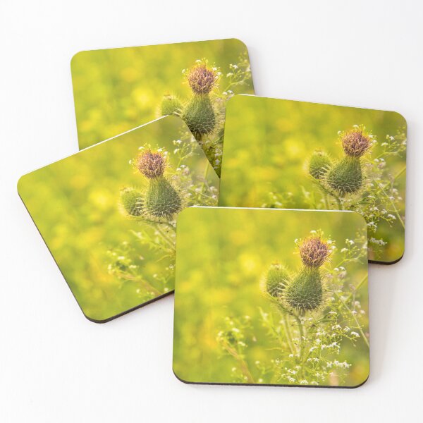 Item preview, Green thistle flower, condolence card designed and sold by Stéphane  Thirion.