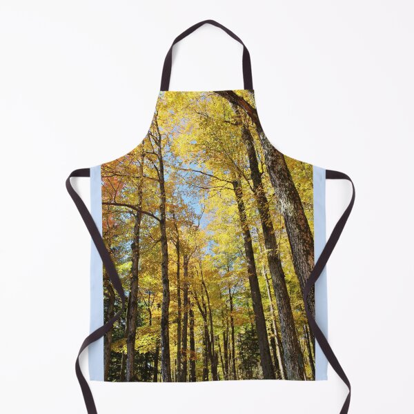 Item preview, Autumn sun through the trees designed and sold by croper.