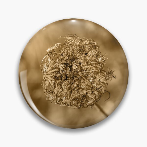 Item preview,  Dried and degraded sepia plant designed and sold by Stéphane  Thirion.