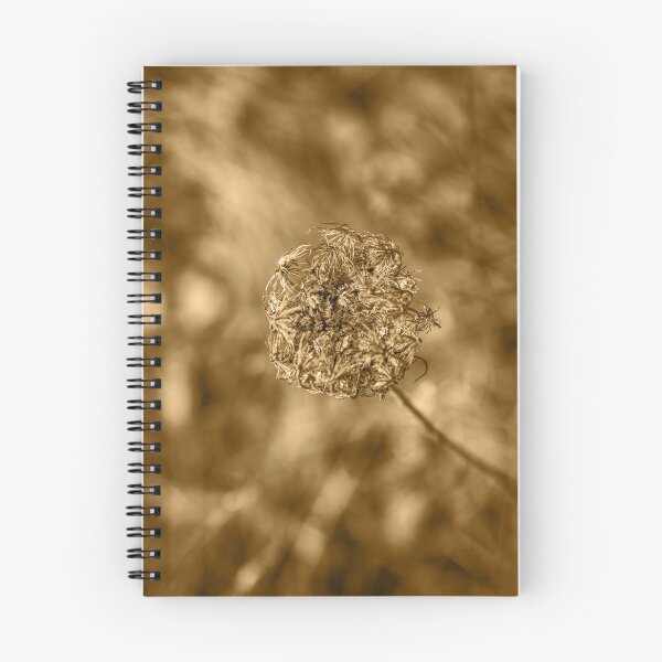 Item preview,  Dried and degraded sepia plant designed and sold by Stéphane  Thirion.