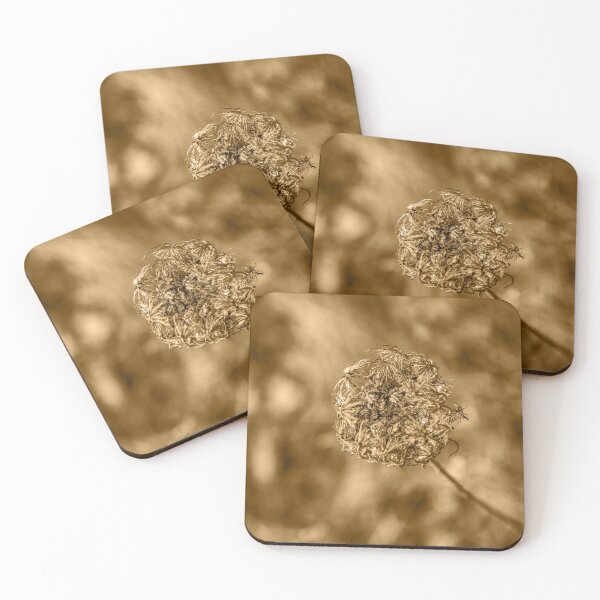 Item preview,  Dried and degraded sepia plant designed and sold by Stéphane  Thirion.